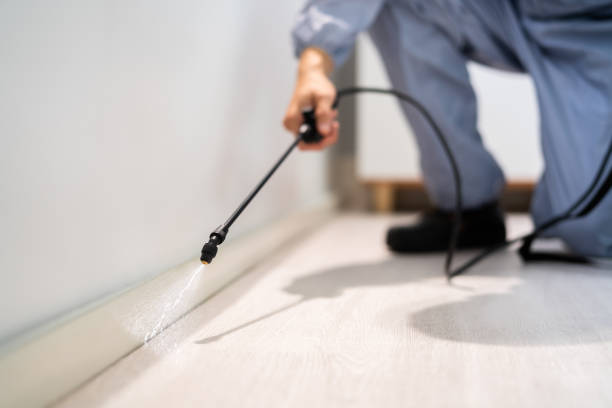 Licensed Pest Control service in Carnation, WA - Show Me Pest Control