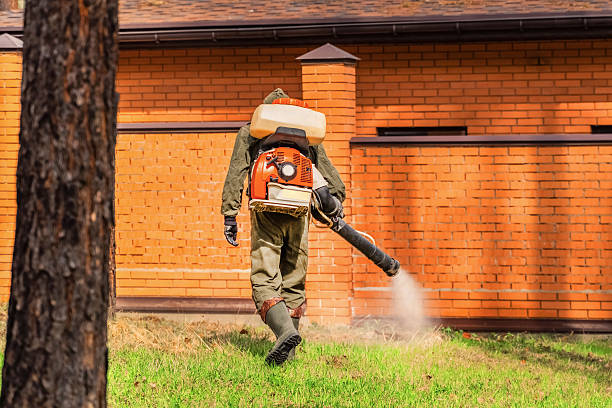Bed Bug Clearance Verification and Documentation in Carnation